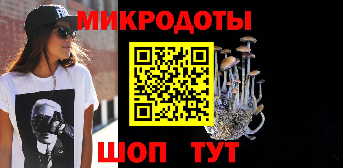 Галлюциногенные грибы мицелий  закладка  Качканар  Вход с VPN 